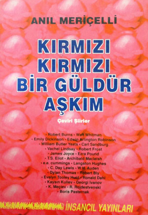KIRMIZI KIRMIZI BİR GÜLDÜR AŞKIM