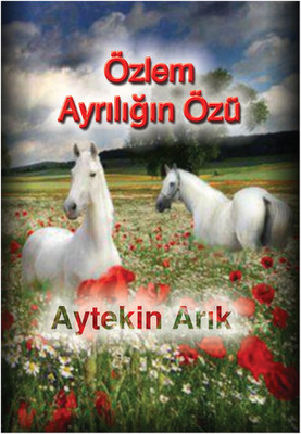 ÖZLEM AYRILIĞIN ÖZÜ